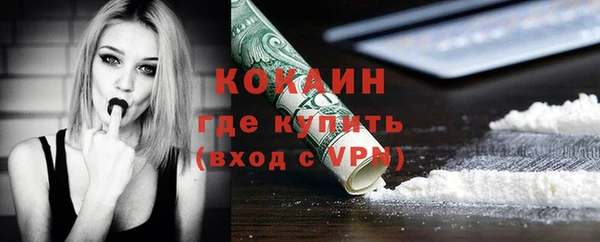 стаф Богданович