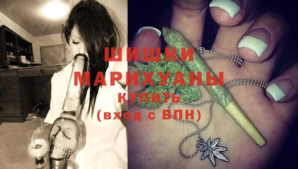 ГАЛЛЮЦИНОГЕННЫЕ ГРИБЫ Верея