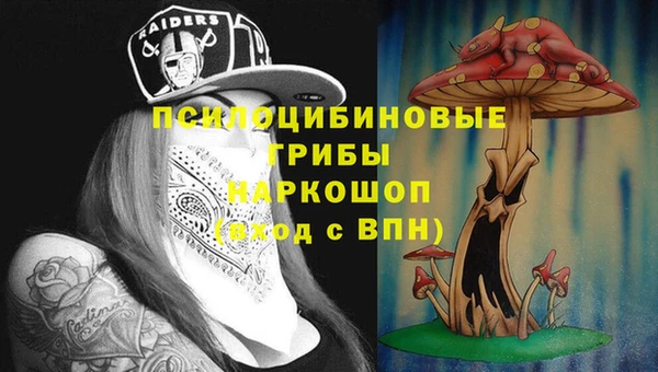 стафф Богородск