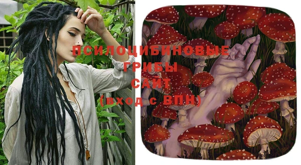стаф Володарск